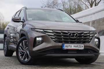 1.6 Benzyna (Hybryda) 180 KM, 4x4, Navi, Kamera, Salon PL, GWARANCJA!